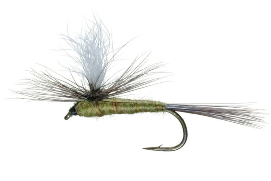 Blue Wing Olive Parachute fly