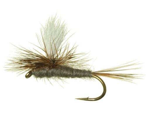 adams parachute trout fly