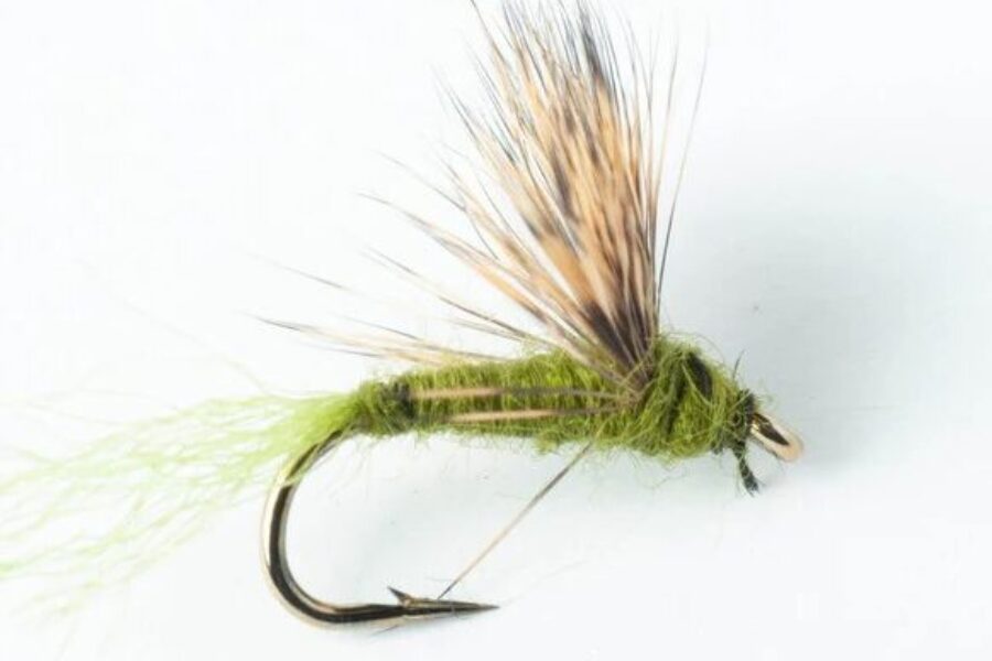 Blue Winged Olive Sparkle Dun fly