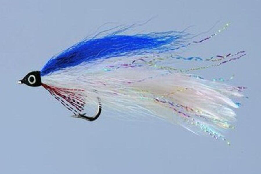 Blue and White Deceiver Fly