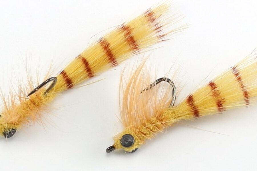 Bonefish Bristle Worm fly