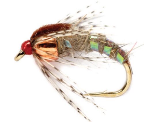 Holy Grail Nymph fly for sale