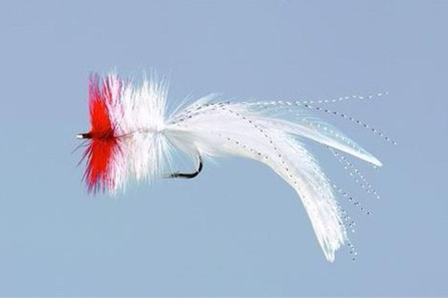 Seaducer saltwater fly